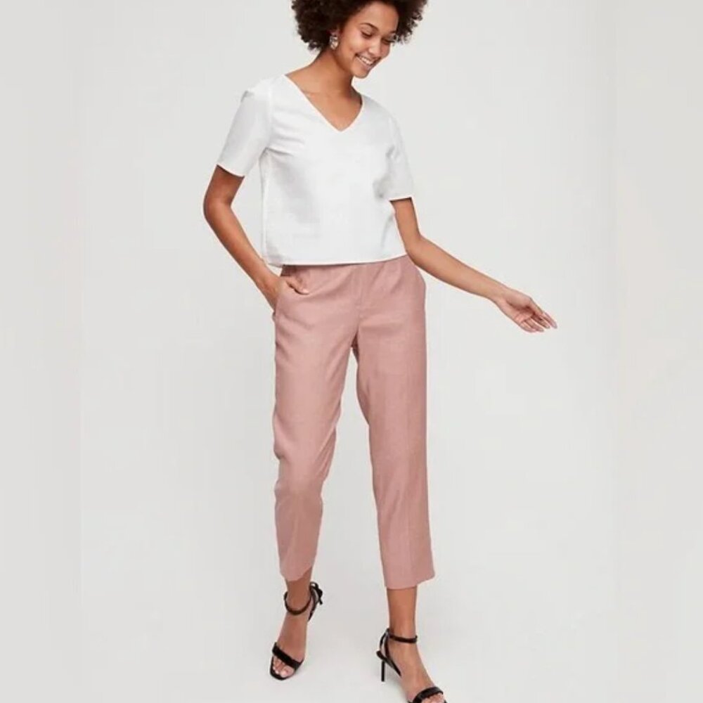 Aritzia Babaton Conan Linen Pant